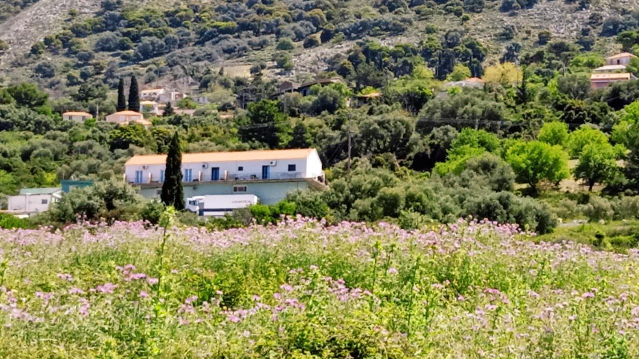 Ferienwohnung Aelia Sea Argostoli  Exterior foto